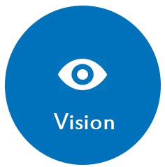 Vision